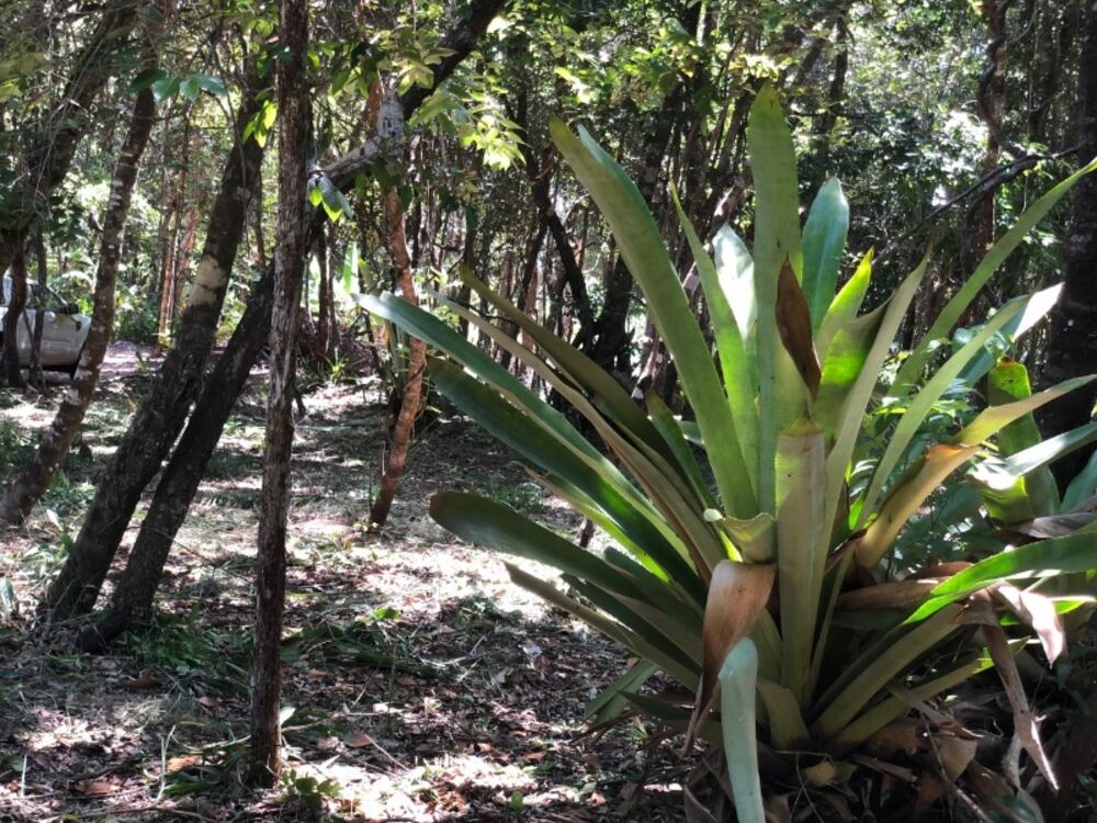 Terreno, 600 m² - Foto 1