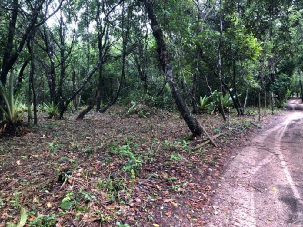 Terreno, 600 m² - Foto 2