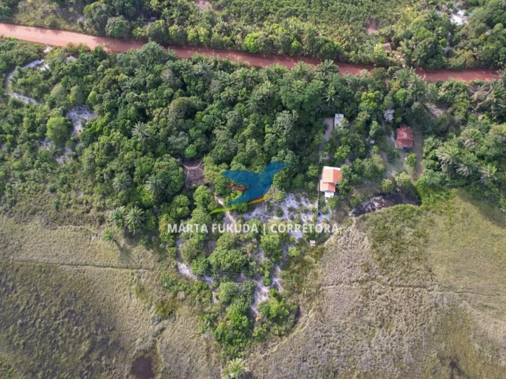 Chácara, 3 hectares - Foto 7