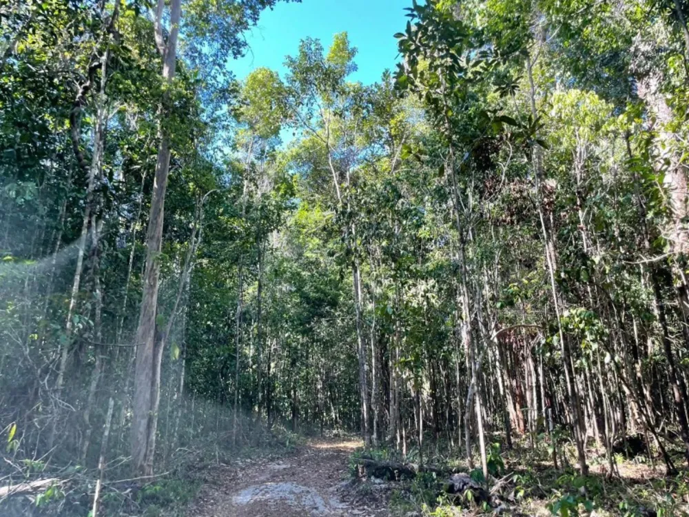 Terreno, 1000 m² - Foto 1