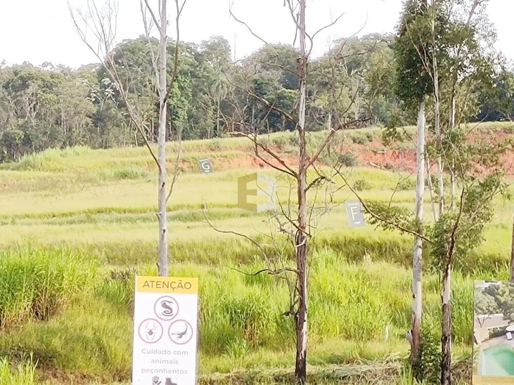 Terreno, 1000 m² - Foto 2