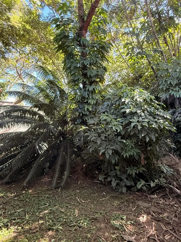 Terreno, 1000 m² - Foto 6