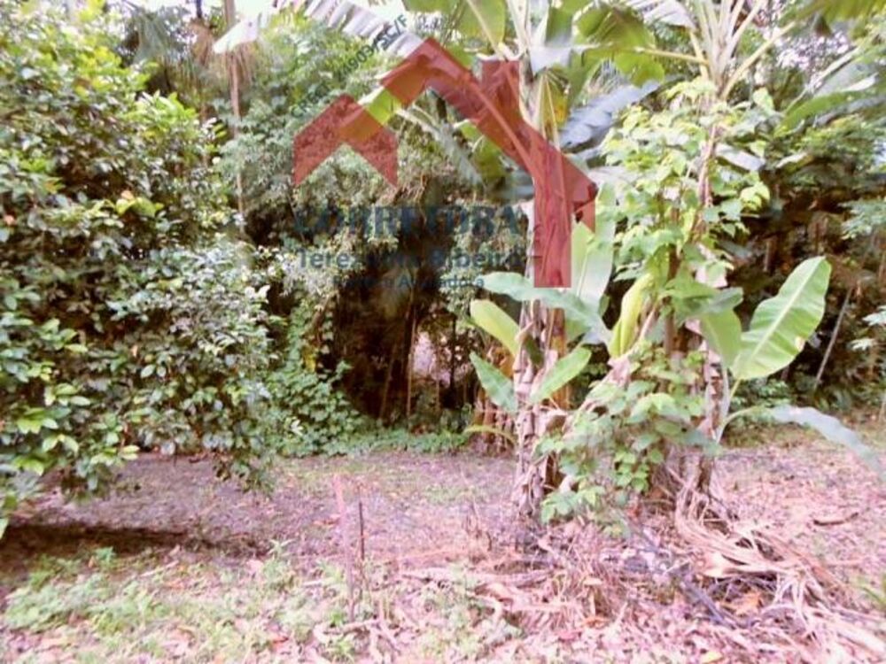 Terreno à venda com 3 quartos, 1009m² - Foto 3