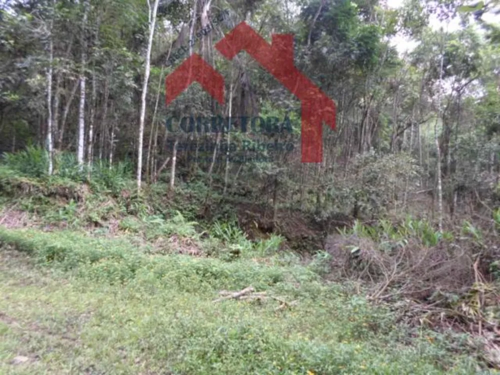 Fazenda, 5 hectares - Foto 8