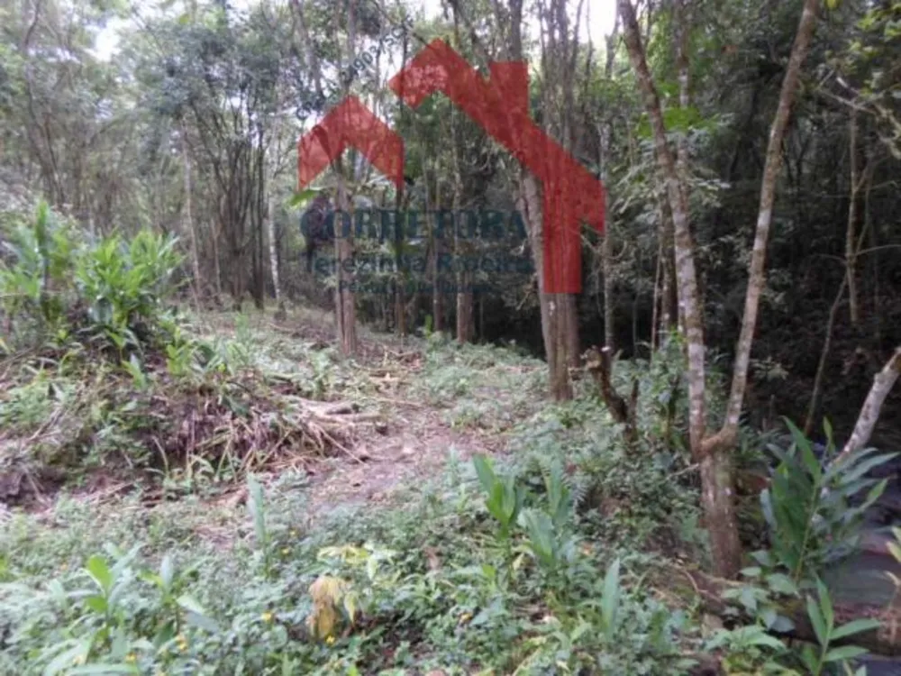 Fazenda, 5 hectares - Foto 7