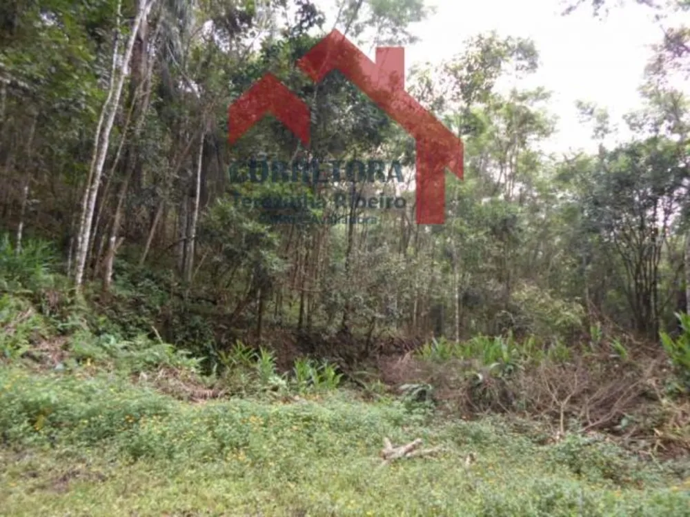Fazenda, 5 hectares - Foto 3