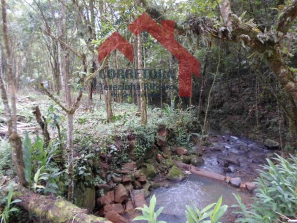 Fazenda à venda, 50000m² - Foto 3