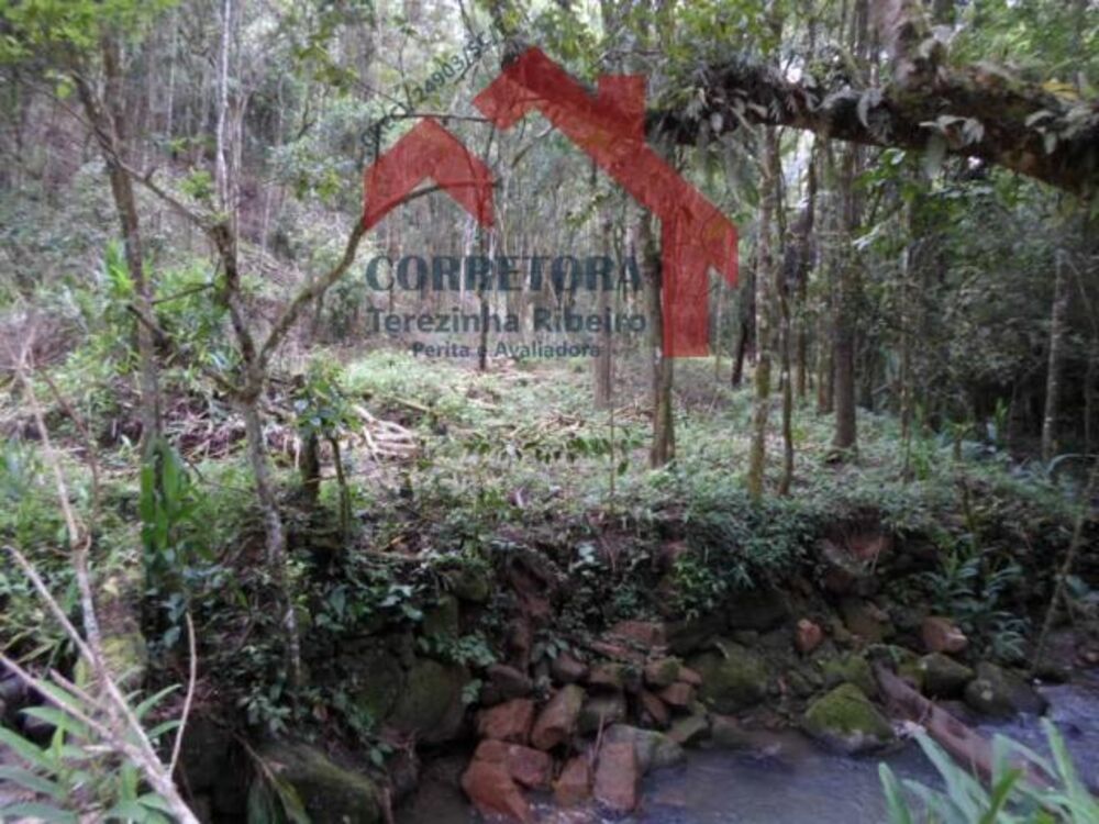 Fazenda à venda, 50000m² - Foto 1