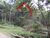 Fazenda, 5 hectares - Foto 4