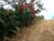 Terreno, 2205 m² - Foto 13