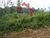Terreno, 2205 m² - Foto 4