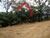 Terreno, 2205 m² - Foto 9