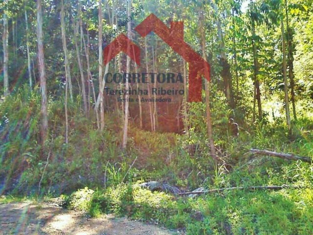 Terreno, 500 m² - Foto 3