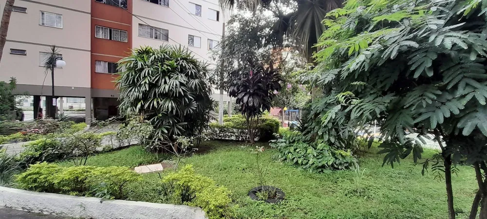 Apartamento, 3 quartos, 75 m² - Foto 12