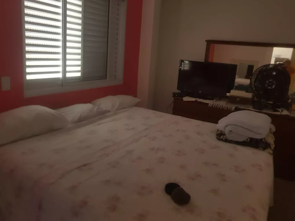 Casa, 4 quartos, 250 m² - Foto 3