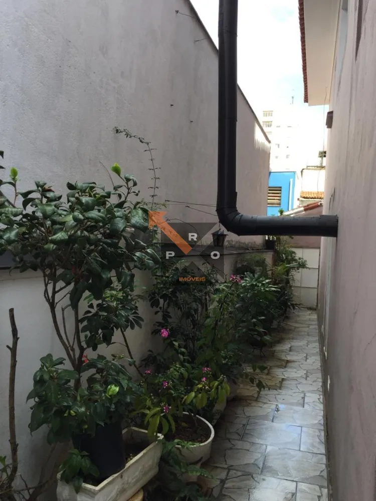 Casa, 5 quartos, 260 m² - Foto 1