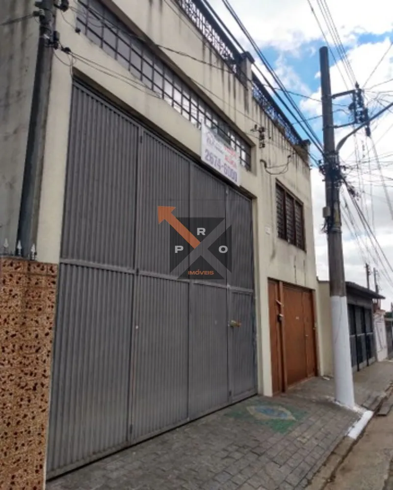 Casa, 4 quartos, 450 m² - Foto 13