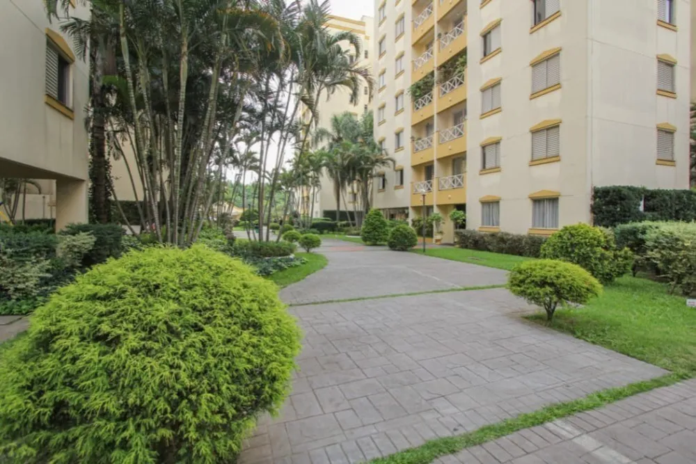 Apartamento, 3 quartos, 65 m² - Foto 13