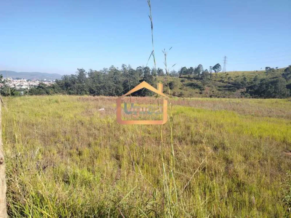 Terreno, 6049 m² - Foto 2