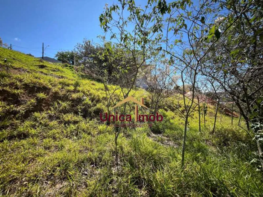 Terreno, 1103 m² - Foto 4