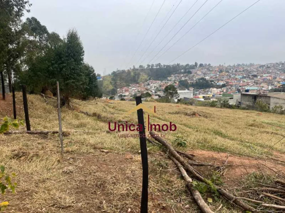 Terreno, 69004 m² - Foto 5