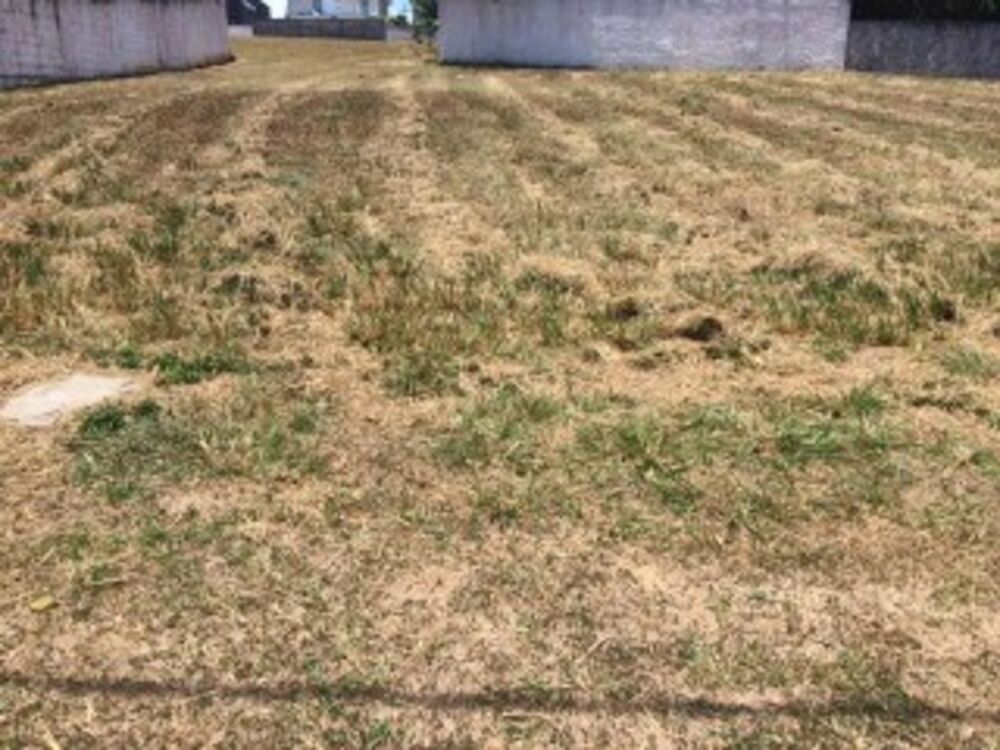 Terreno, 520 m² - Foto 4