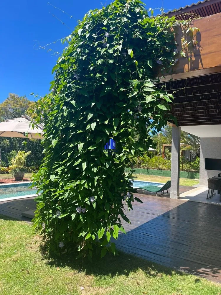 Casa de Condomínio, 5 quartos - Foto 31