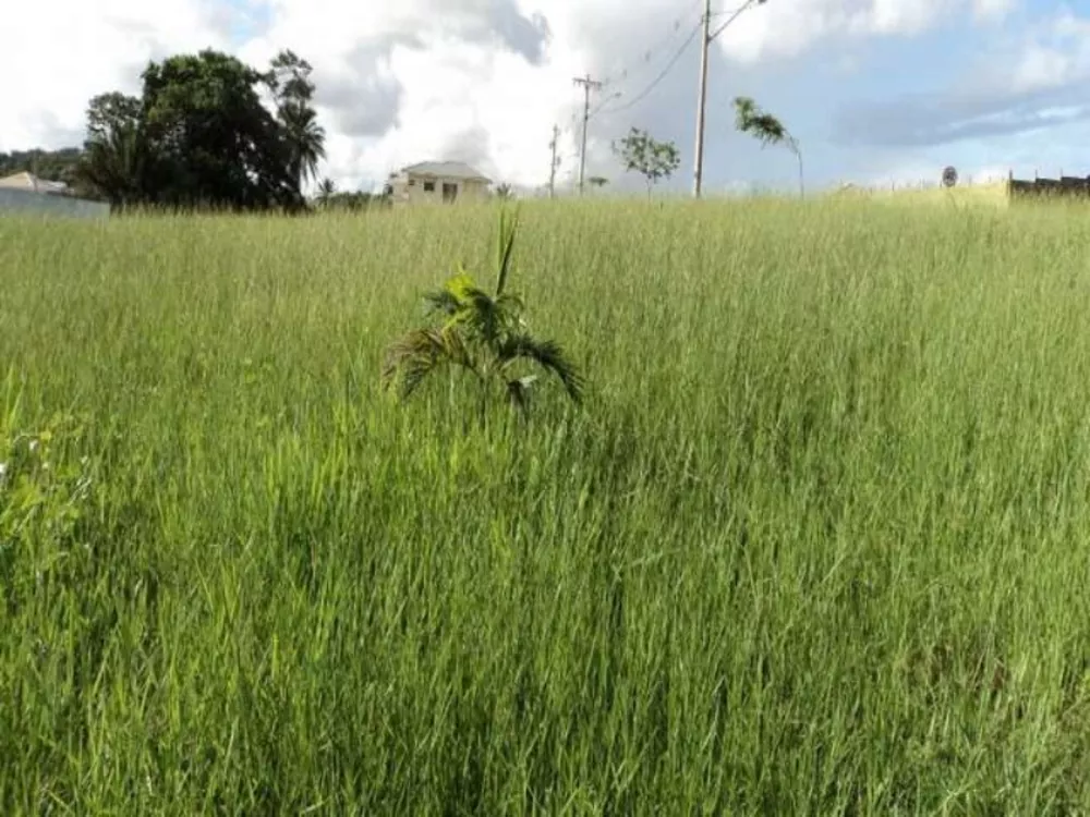 Loteamento e Condomínio à venda com 1 quarto, 580m² - Foto 9