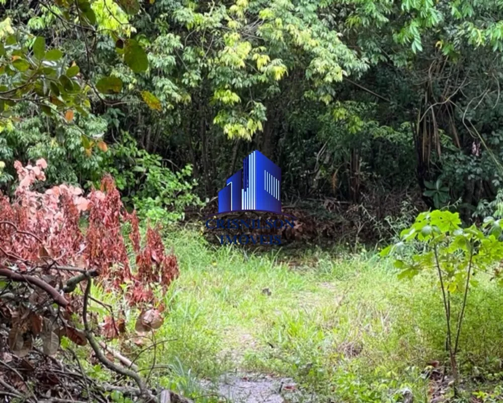 Loteamento e Condomínio à venda com 1 quarto, 1000m² - Foto 12