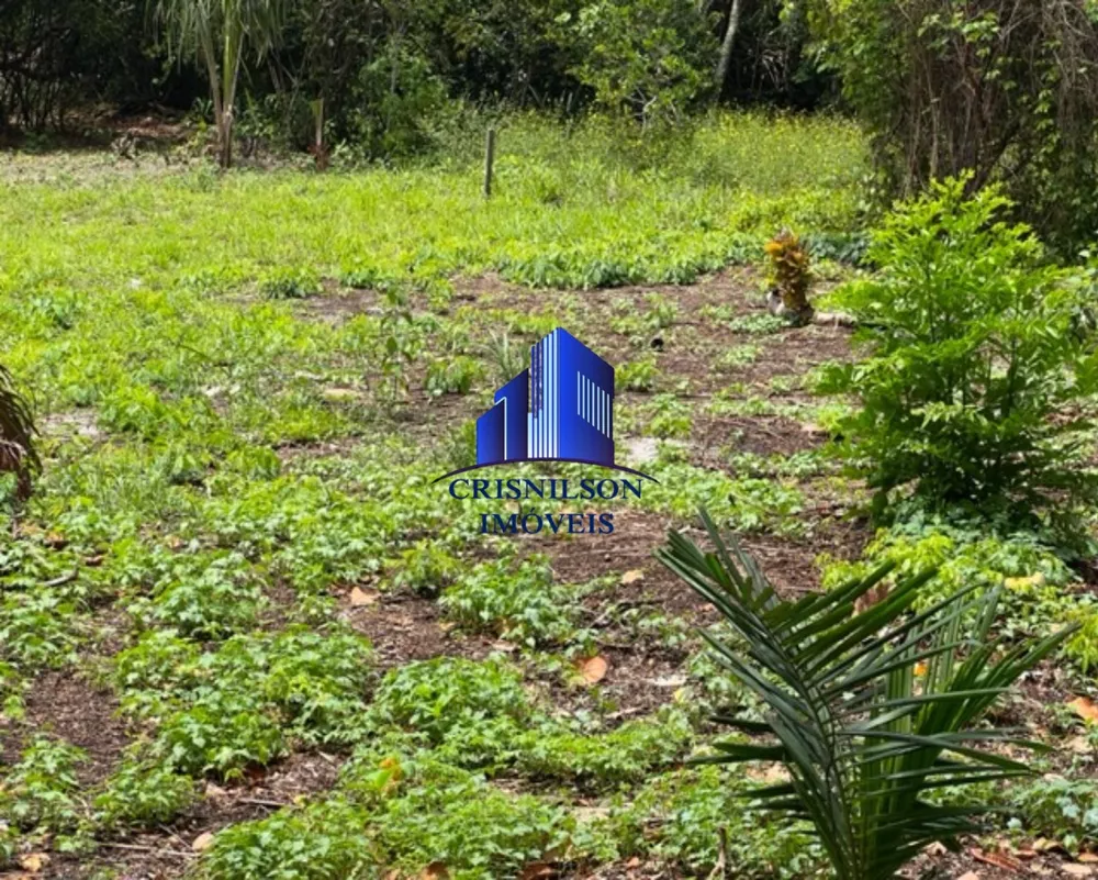 Loteamento e Condomínio à venda com 1 quarto, 1000m² - Foto 3