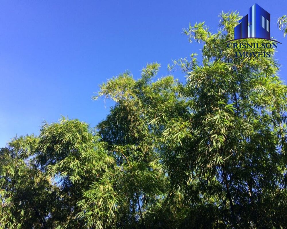 Terreno, 1078 m² - Foto 4