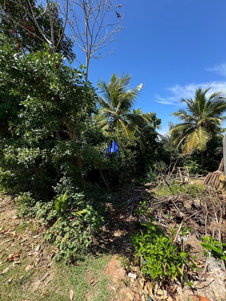 Loteamento e Condomínio, 1050 m² - Foto 3