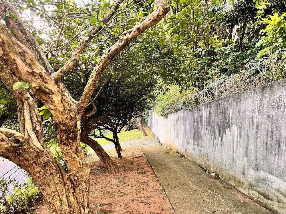 Apartamento, 3 quartos, 98 m² - Foto 4