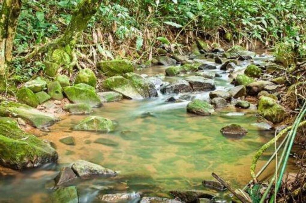 Casa, 3 quartos, 190 m² - Foto 8