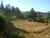 Terreno, 2445 m² - Foto 1