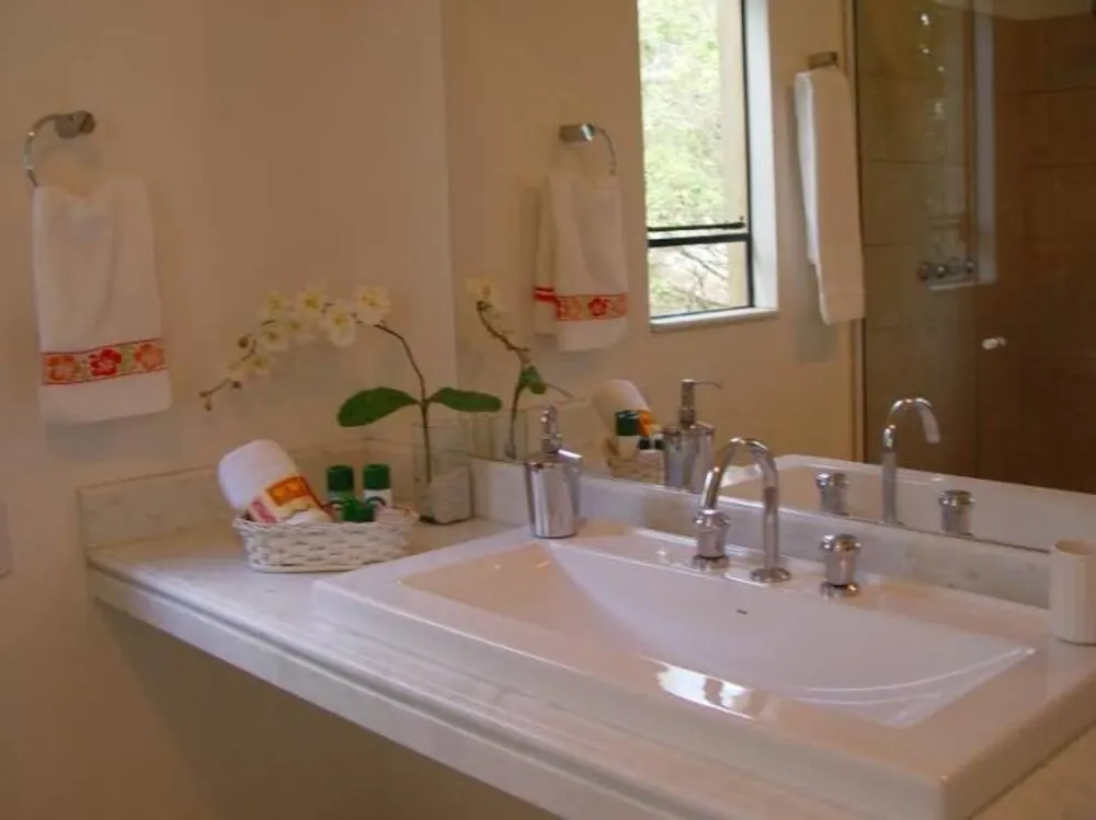 Casa, 4 quartos, 311 m² - Foto 10