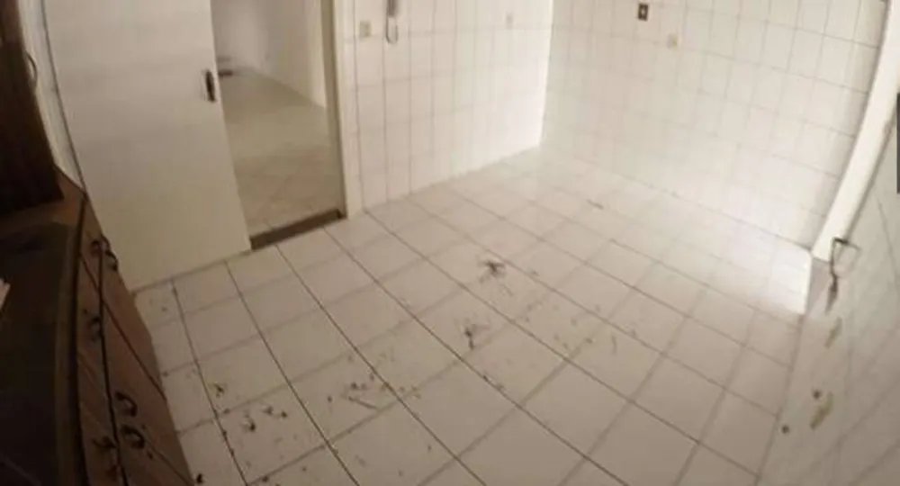 Apartamento, 3 quartos - Foto 8