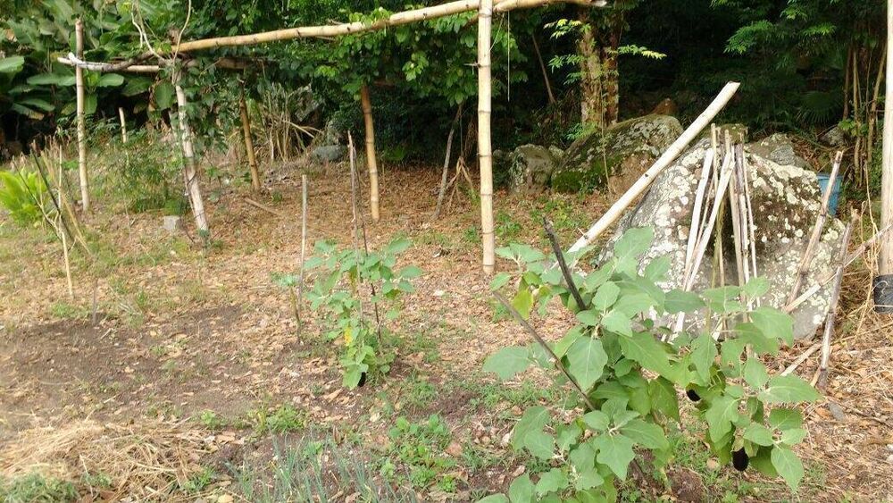 Terreno, 1445 m² - Foto 4