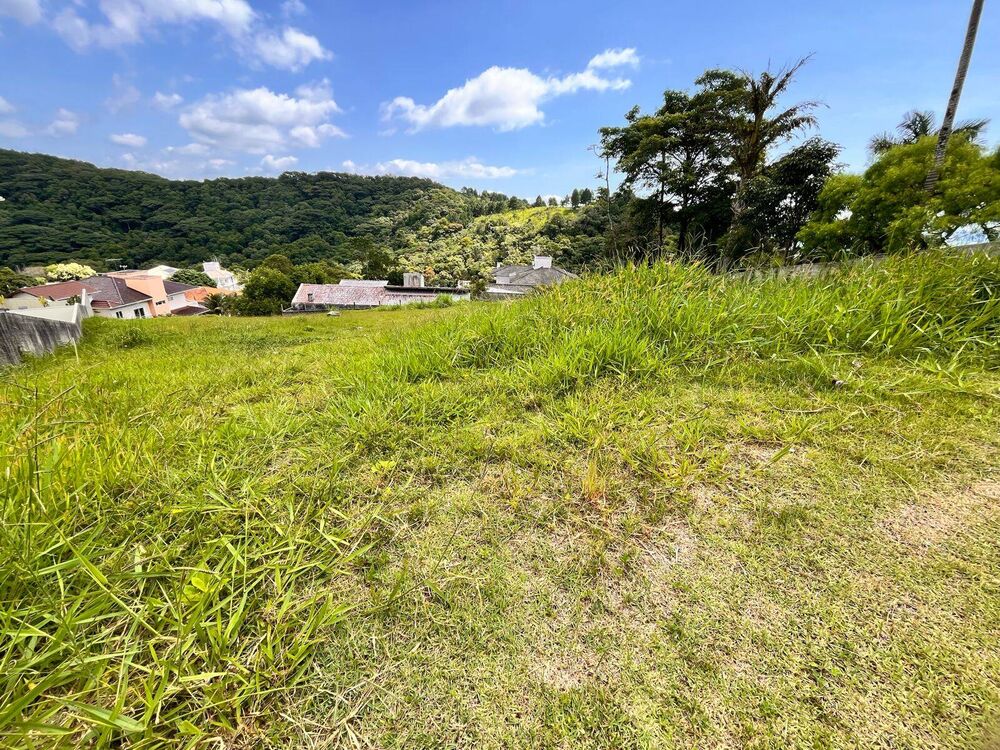 Terreno - Foto 4