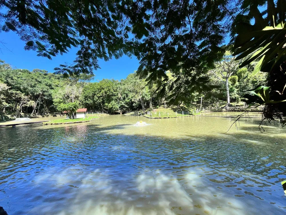 Terreno - Foto 16