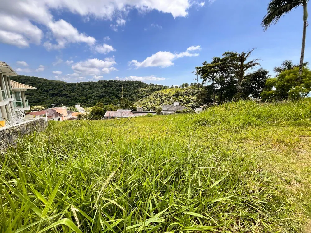 Terreno - Foto 3