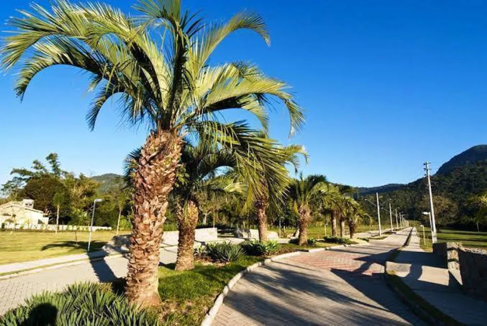 Terreno, 1593 m² - Foto 3