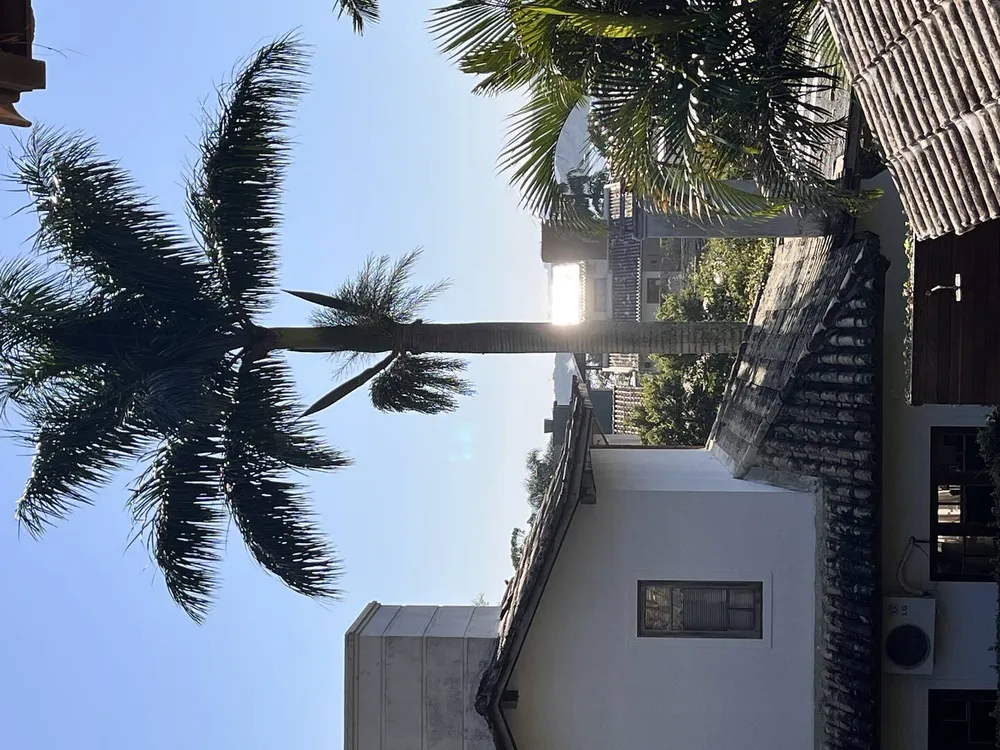 Casa, 3 quartos, 265 m² - Foto 14