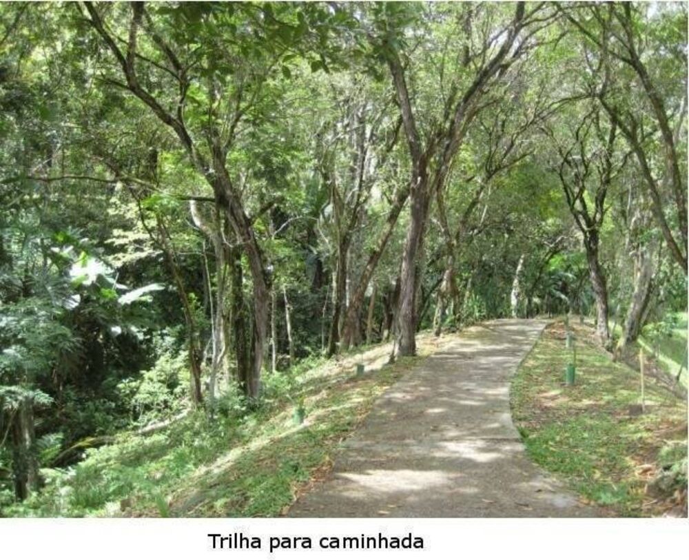 Terreno, 1593 m² - Foto 1