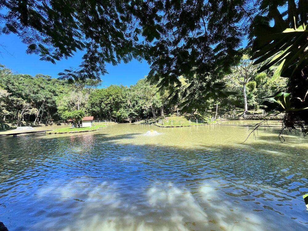 Terreno - Foto 1