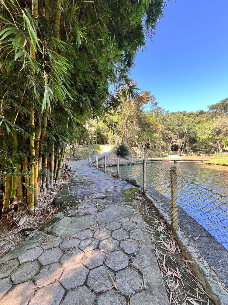 Terreno, 994 m² - Foto 8