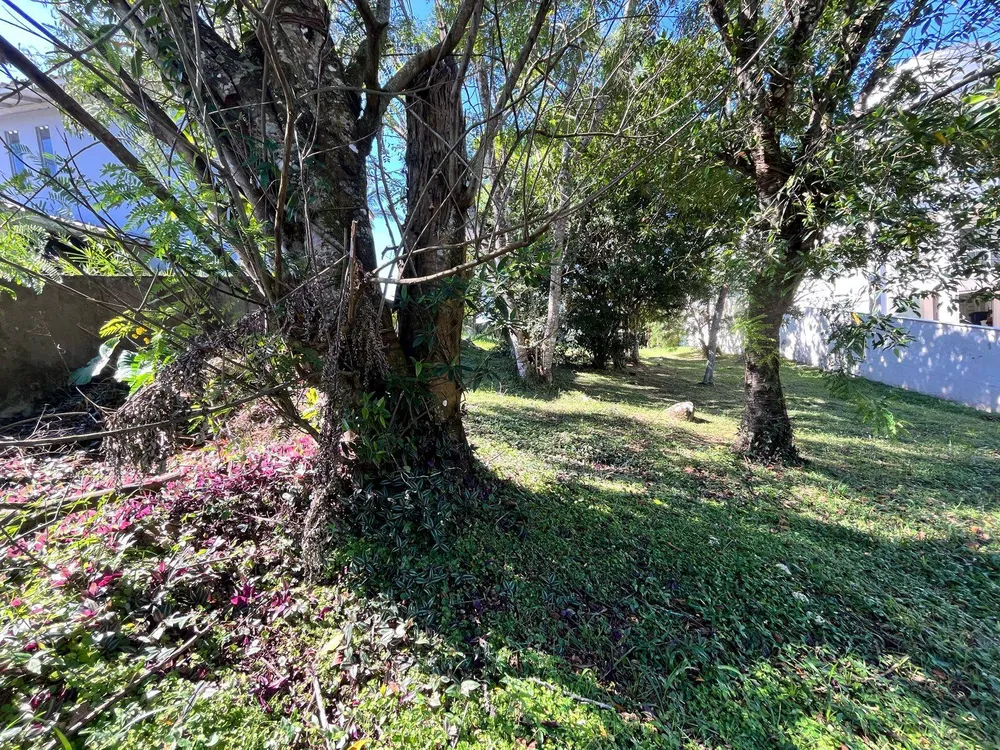 Terreno, 994 m² - Foto 3