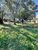 Terreno, 994 m² - Foto 1