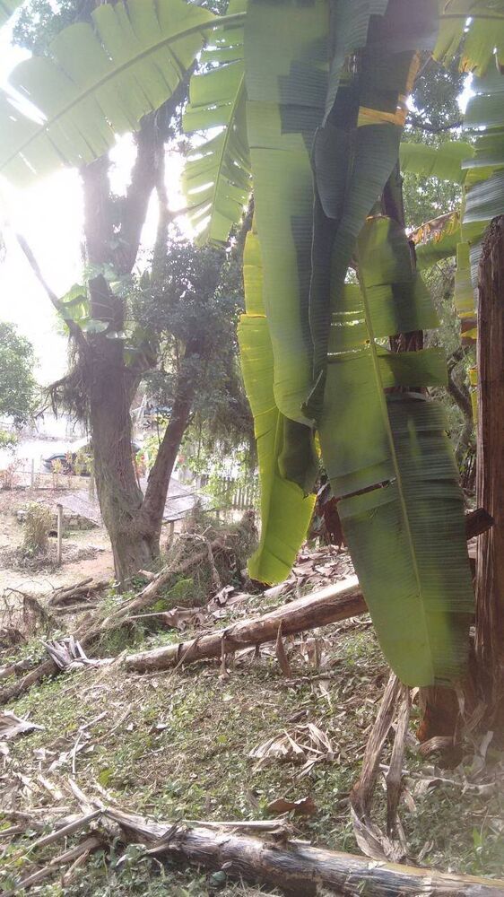 Terreno, 2506 m² - Foto 4