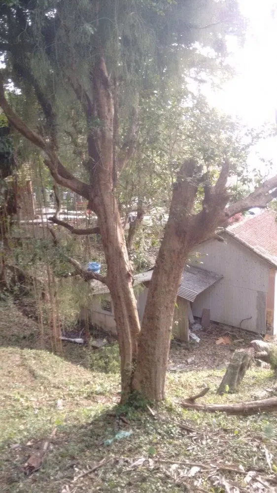 Terreno, 2506 m² - Foto 1